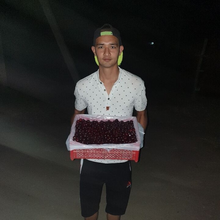 ���� 24536726 ������� Jamshid, 26 ���, ���� ���������� � ������