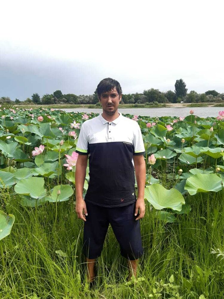 ���� 33483436 ������� ������, 34 ����, ���� ���������� � ���������