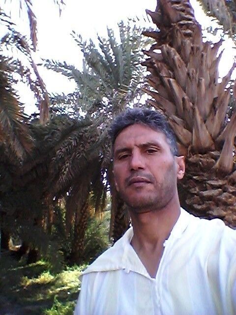 ���� 6816236 ������� Zohir, 45 ���, ���� ���������� � ������