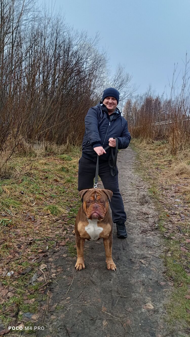 ���������� �����������, ���� ������� ������, 46 ���, ������������ ��� ������, ����� � ���������