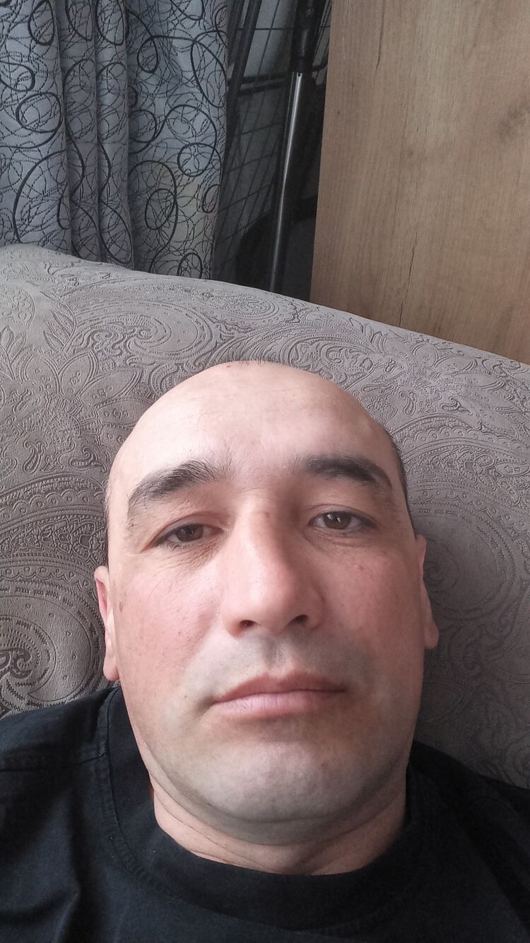  50676776  , 44 ,    -