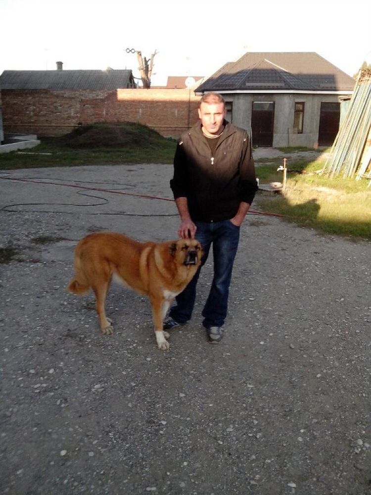  ,   Zaza, 41 ,   ,   , c 