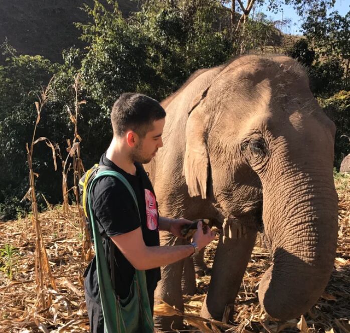 ���������� �����-���������, ���� ������� ����, 39 ���, ������������ ��� ������, ����� � ���������