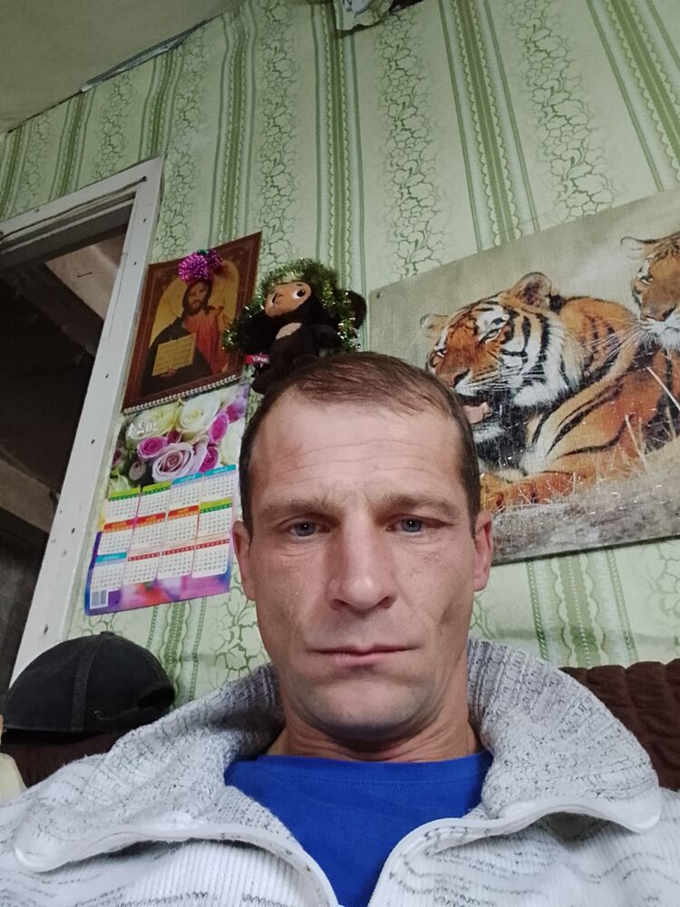 ���� 48048226 ������� �������, 44 ����, ���� ���������� � ������