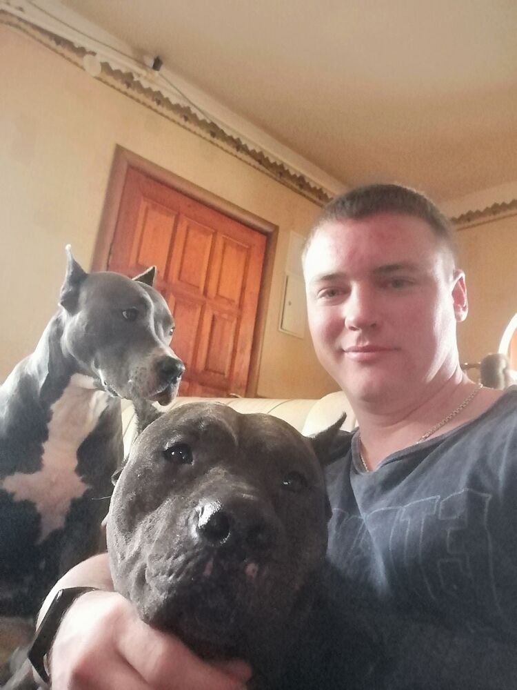 ���� 25640036 ������� ����, 34 ����, ���� ���������� � �������