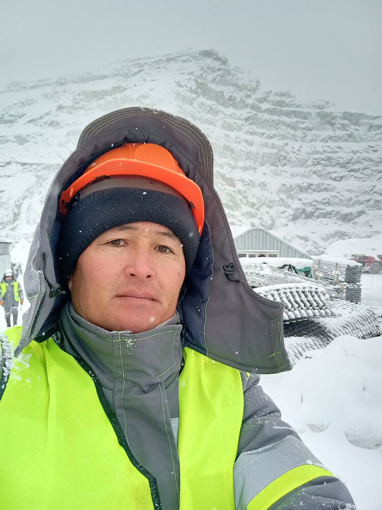 ���� 41645076 ������� �����, 38 ���, ���� ���������� � �������