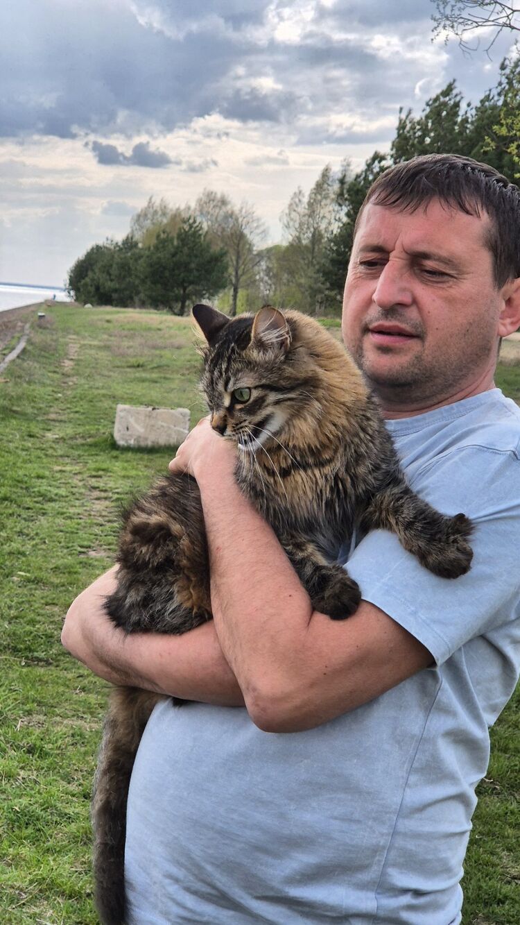 ���� 54990926 ������� �������, 46 ���, ���� ���������� � ����������