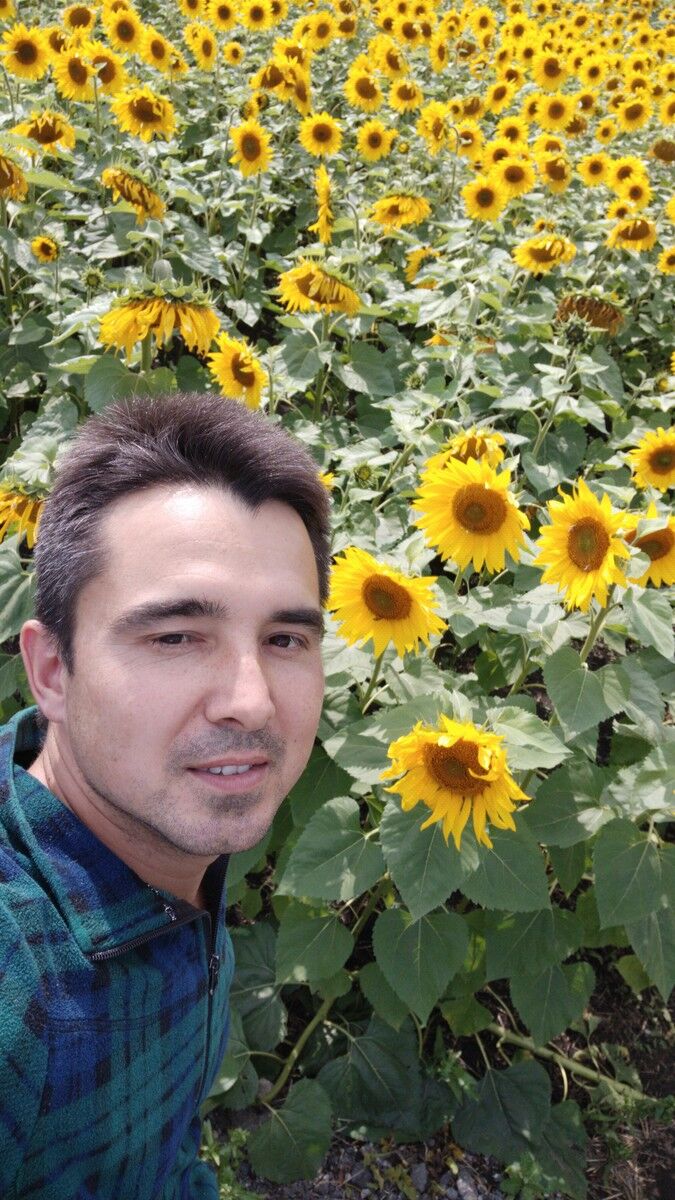 ���������� ���, ���� ������� ����, 42 ����, ������������ ��� ������, ����� � ���������, c�������� ���������