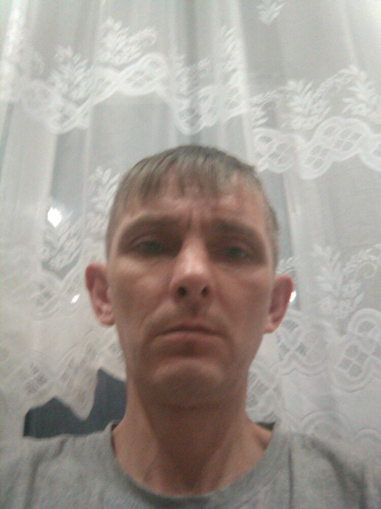  33237096  , 41 ,    