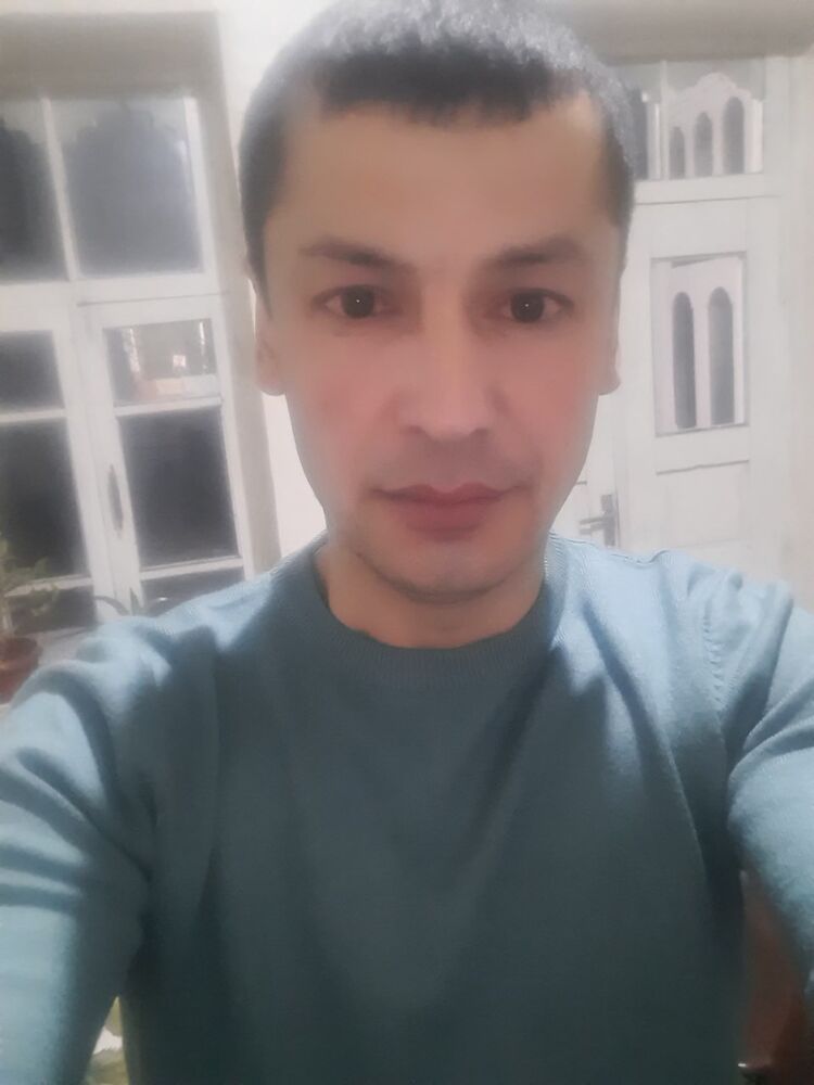  50901896  , 31 ,    