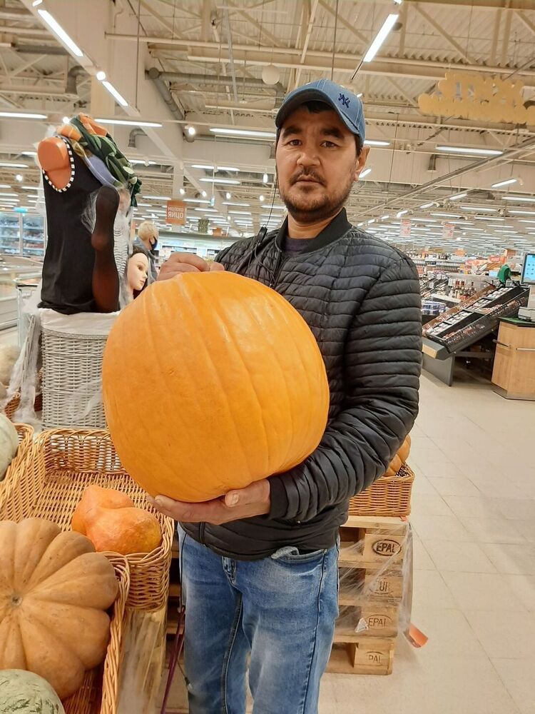 ���������� ��������, ���� ������� �������, 41 ���, ������������ ��� ������, ����� � ���������