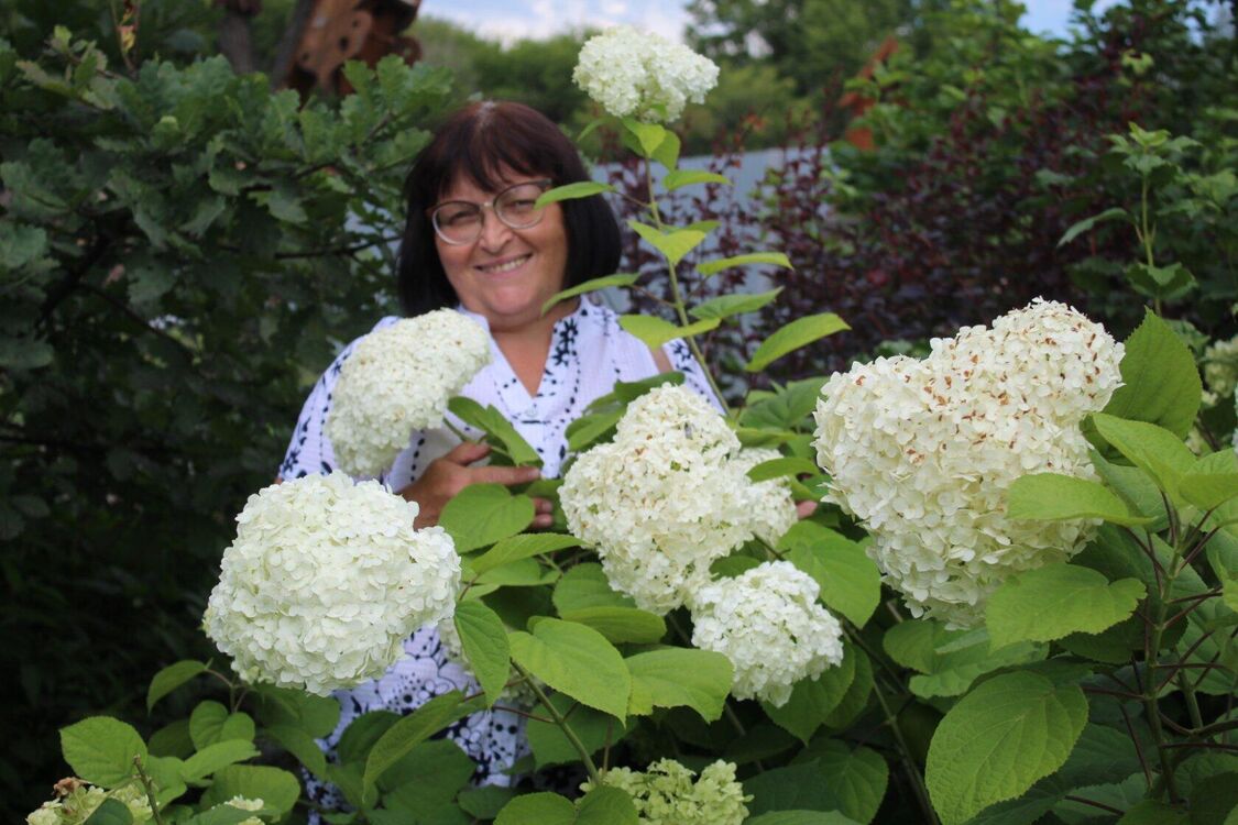 ���������� �������, ���� ������� ������, 61 ���, ������������ ��� c�������� ���������