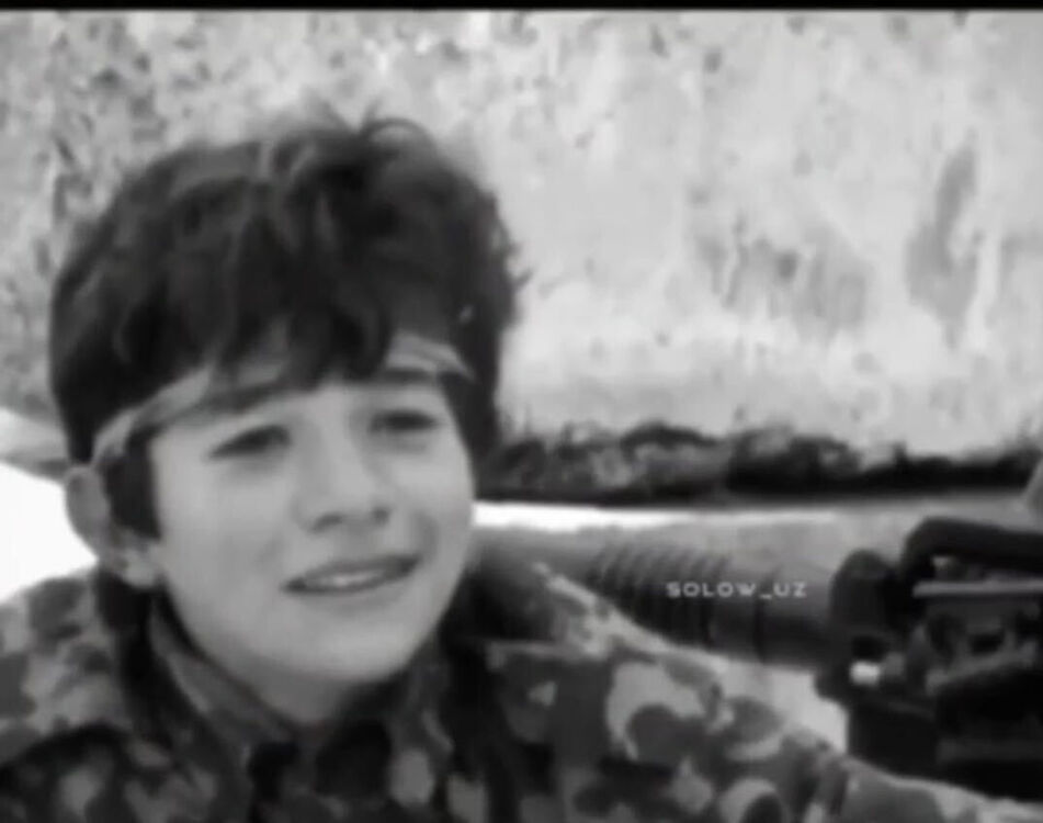 ���� 31133996 ����� �����, 23 ����, ���� ���������� � ���������