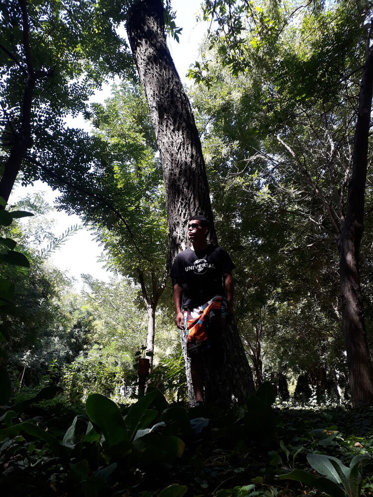 ���������� �������, ���� ������� Roma, 36 ���, ������������ ��� ������