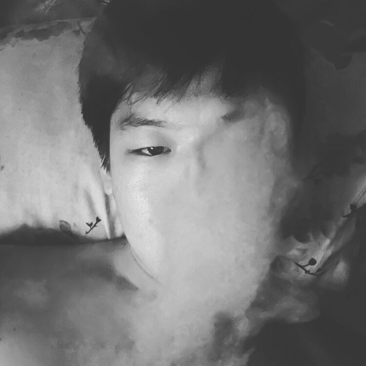  29886406  , 28 ,    --