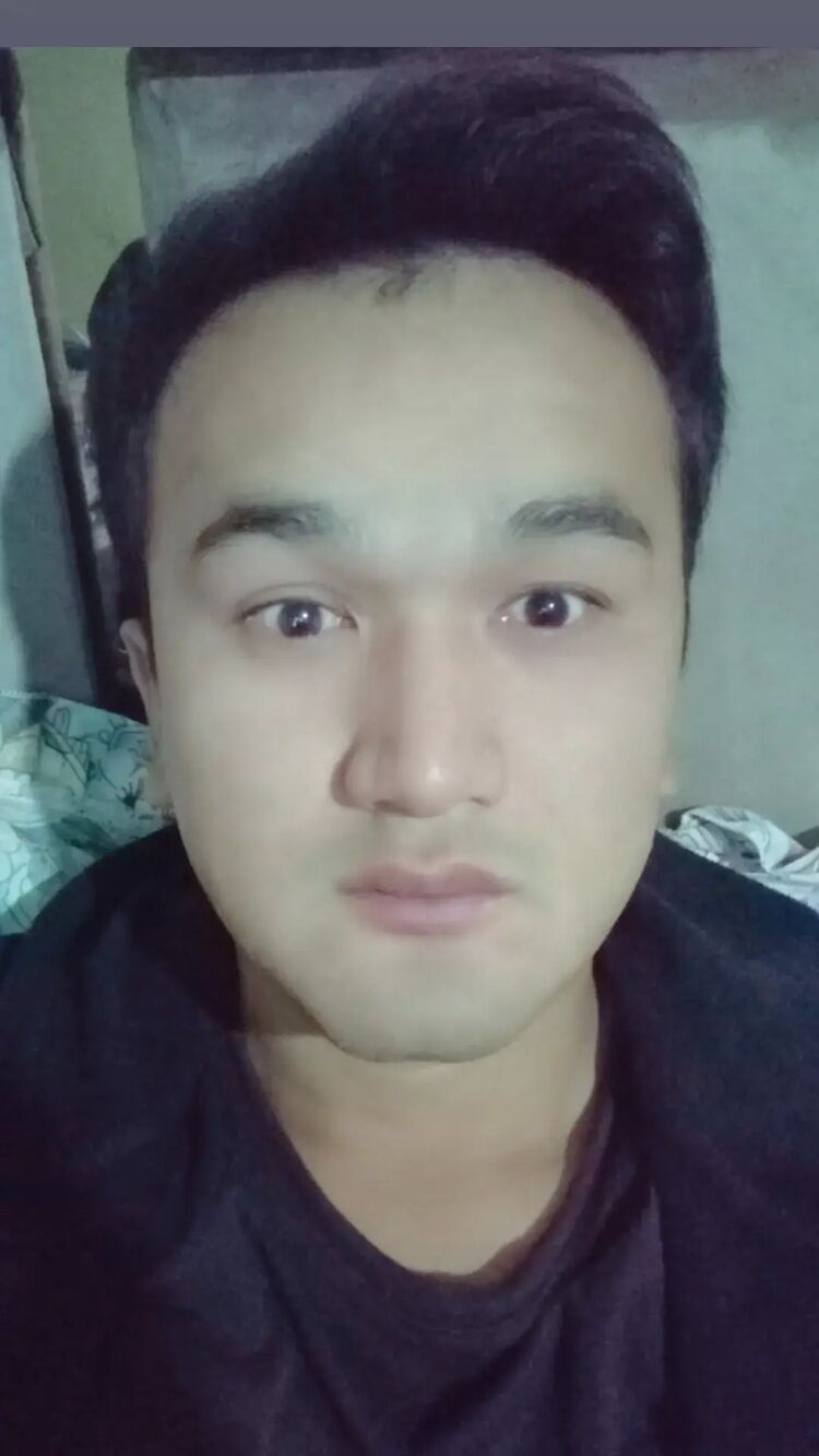  41231606  , 28 ,    