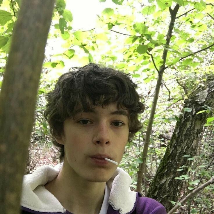 ���� 38593566 ����� ����, 21 ���, ���� ���������� � �������������