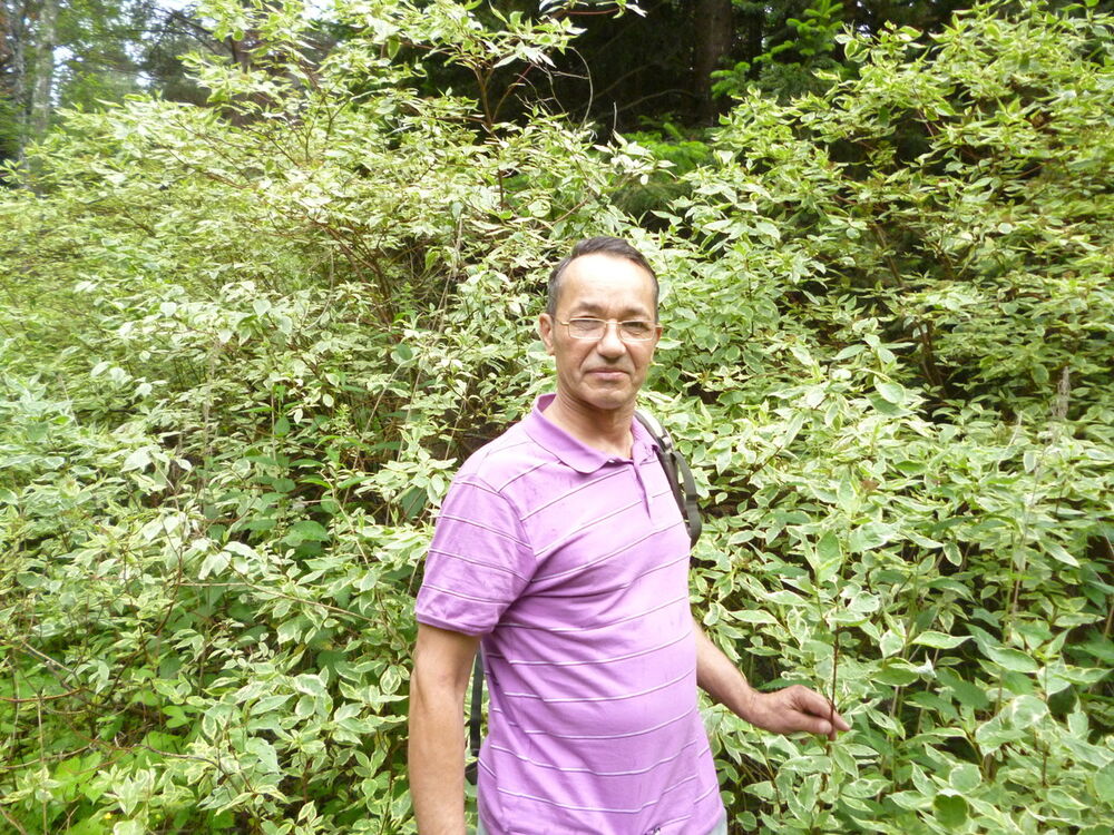  ,   , 64 ,   