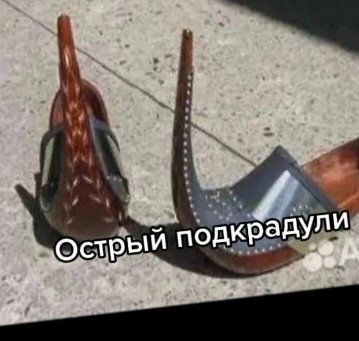 ���� 33131066 ����� ������, 22 ����, ���� ���������� � �������������