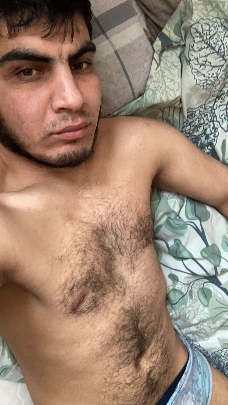  33186206  , 29 ,    