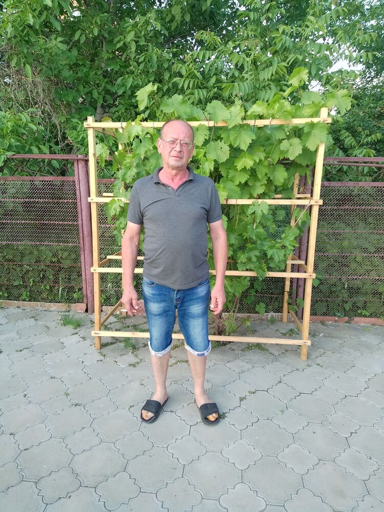  50039406  , 58 ,    