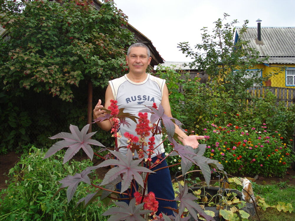 ���� 53810996 ������� ������, 61 ���, ���� ���������� � ���