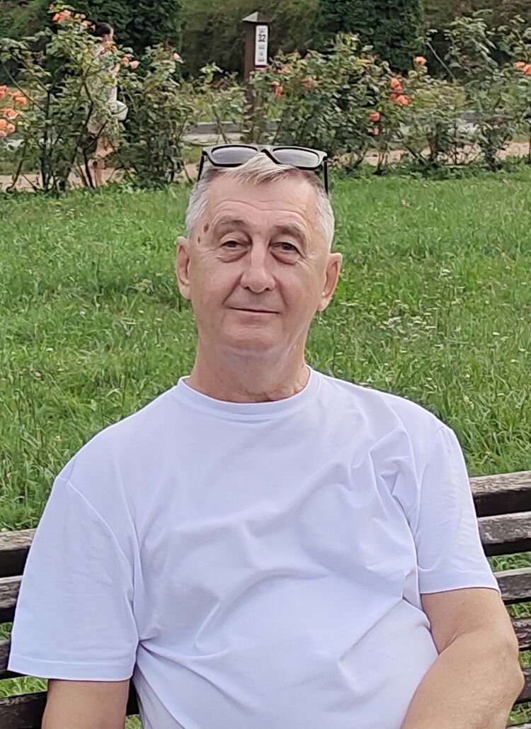 ���� 56113416 ������� ��������, 66 ���, ���� ���������� � ��������