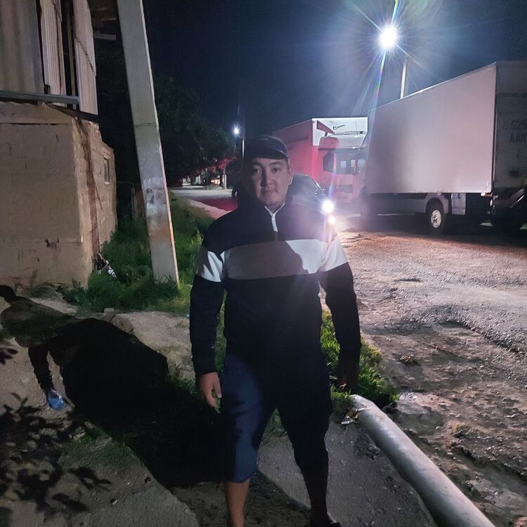 ���� 31768426 ������� ��������, 32 ����, ���� ���������� � �������