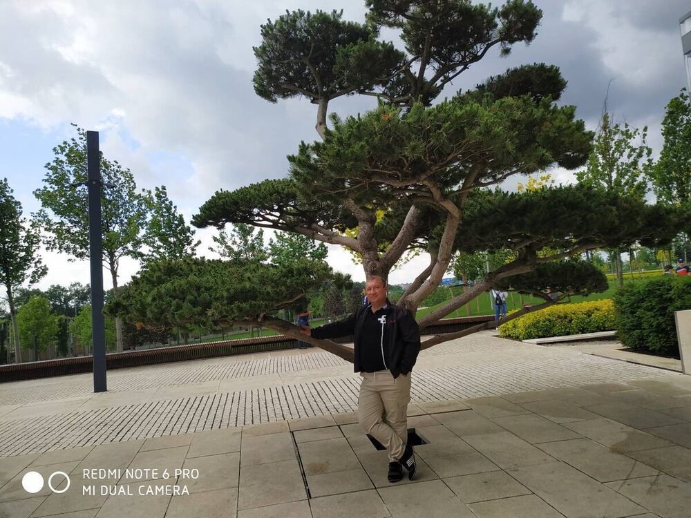 ���� 22247386 ������� ����, 48 ���, ���� ���������� � �������