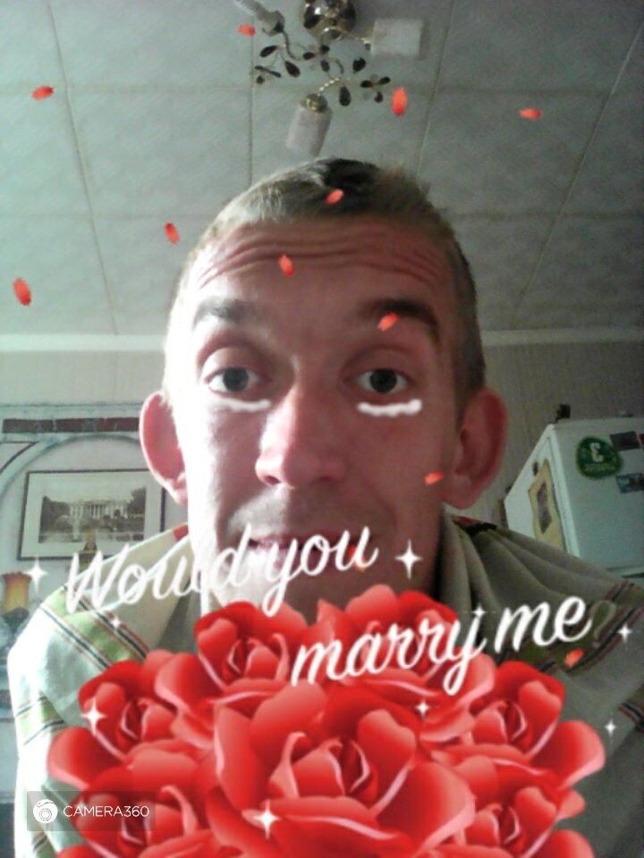  9539176  , 37 ,    