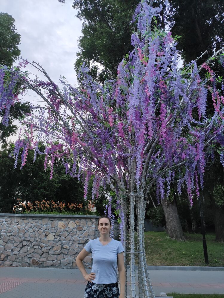 ���������� �����������, ���� ������� �������, 41 ���, ������������ ��� ������, ����� � ���������, c�������� ���������