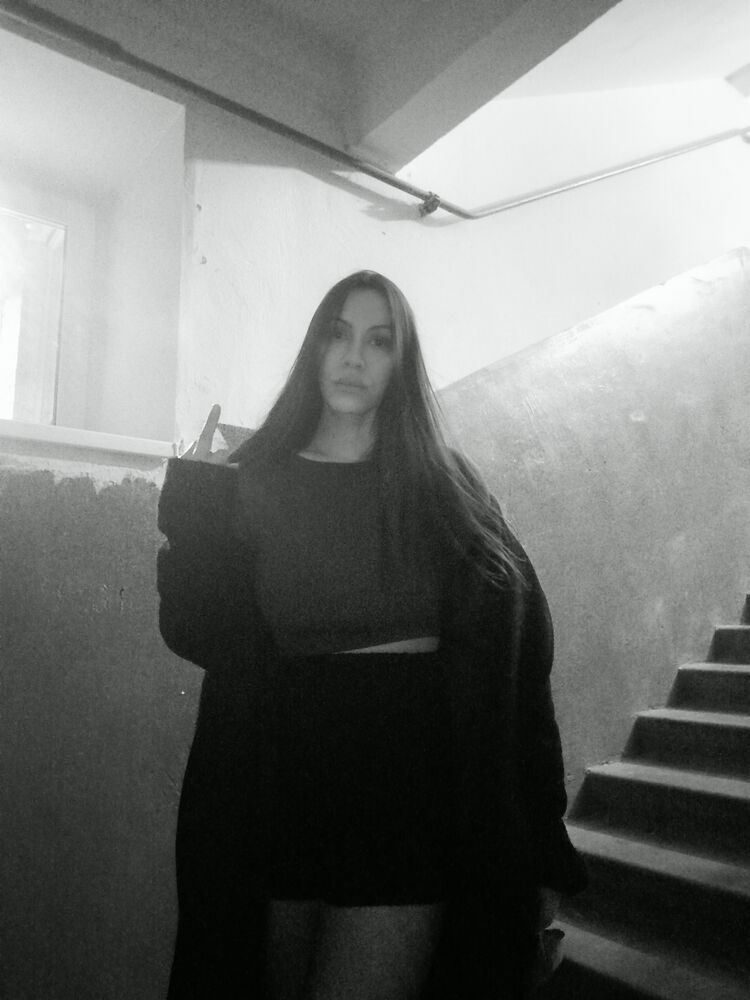  53981756  , 29 ,    -