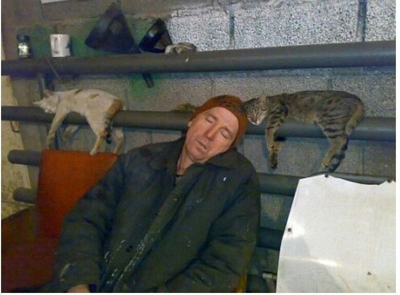 ���� 17576376 ������� ������, 45 ���, ���� ���������� � ������