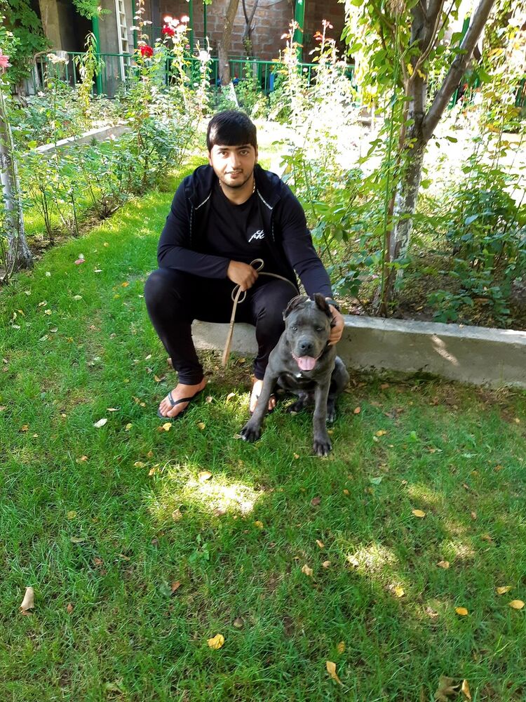 ���� 17677236 ������� Gev, 33 ����, ���� ���������� � �������