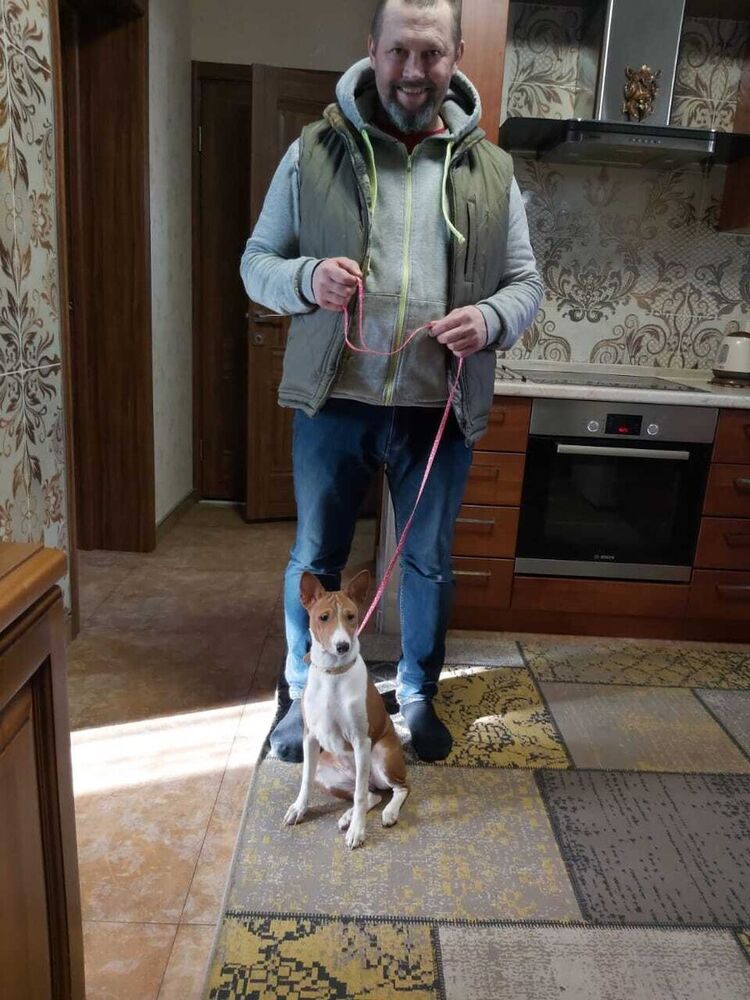 ���������� ������, ���� ������� ���������, 51 ���, ������������ ��� ������, ����� � ���������