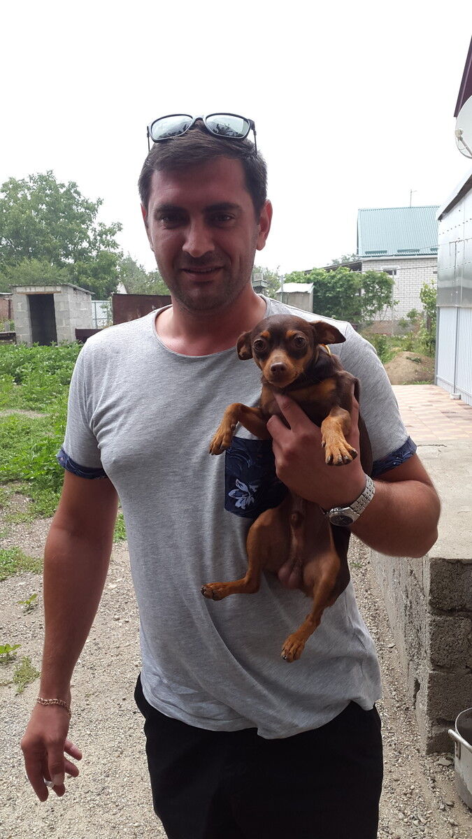 ���� 14226606 ������� ��������, 42 ����, ���� ���������� � ����������