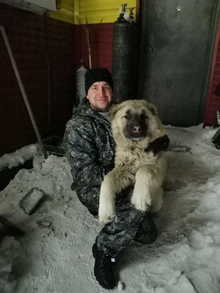 ���� 19023496 ������� ������, 43 ����, ���� ���������� � ����������