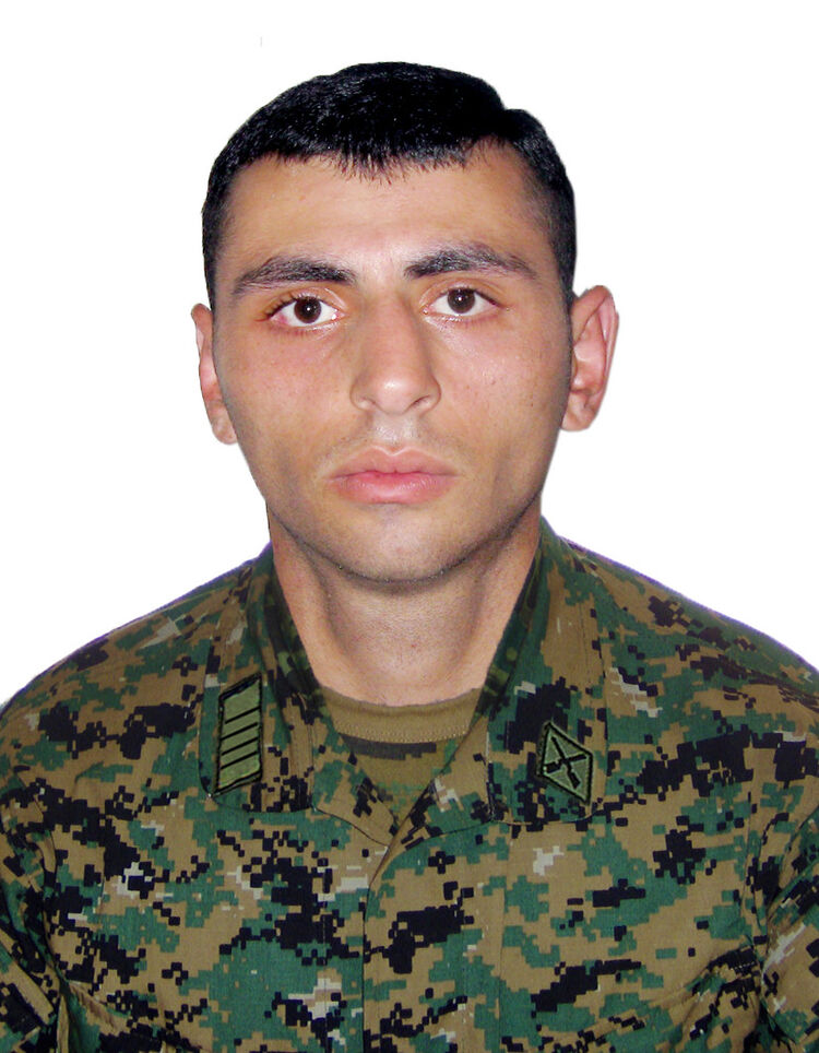 ���� 5937736 ������� Sika, 37 ���, ���� ���������� � �������