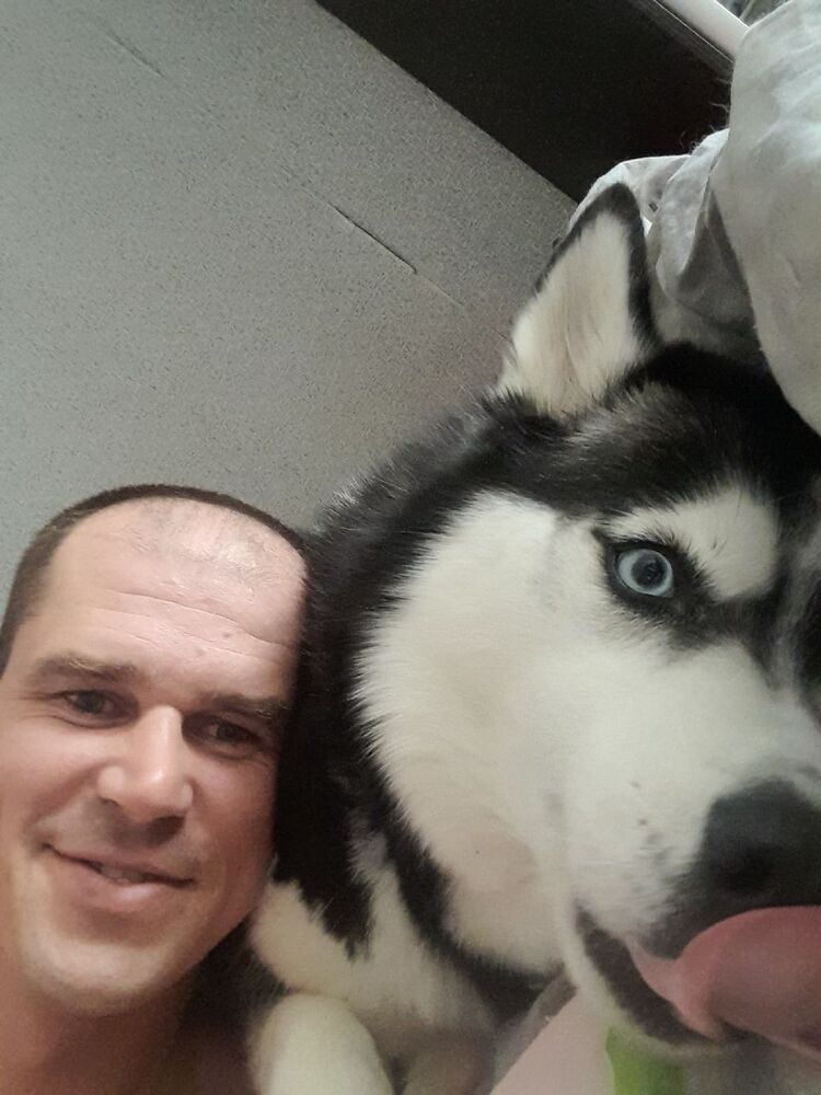 ���������� ������-��-����, ���� ������� �������, 37 ���, ������������ ��� ������, ����� � ���������, c�������� ���������, ���������