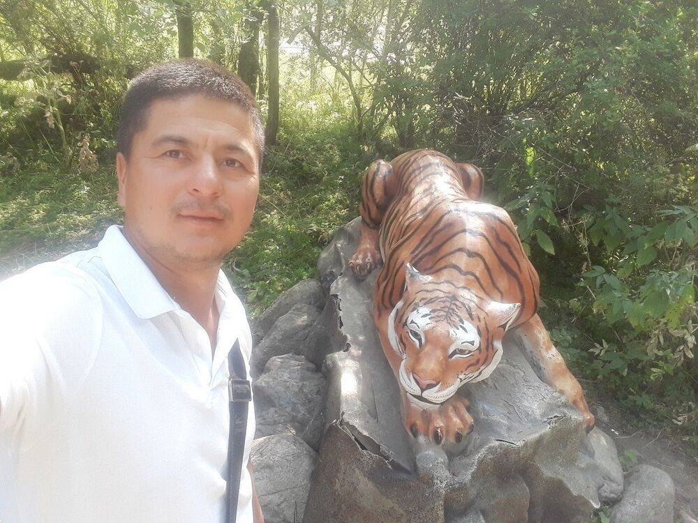 ���� 17049236 ������� �����, 38 ���, ���� ���������� � ������