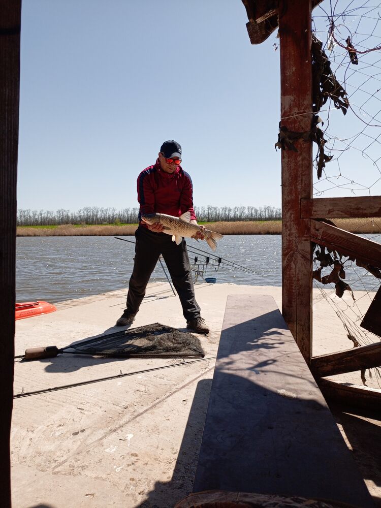  51375476  , 57 ,    Deleted