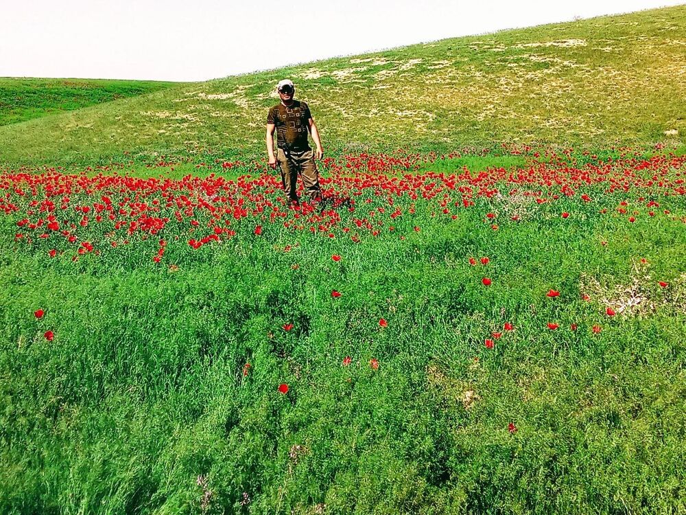 ���������� �����-���������, ���� ������� Boyka, 30 ���, ������������ ��� ����� � ���������, c�������� ���������, ���������