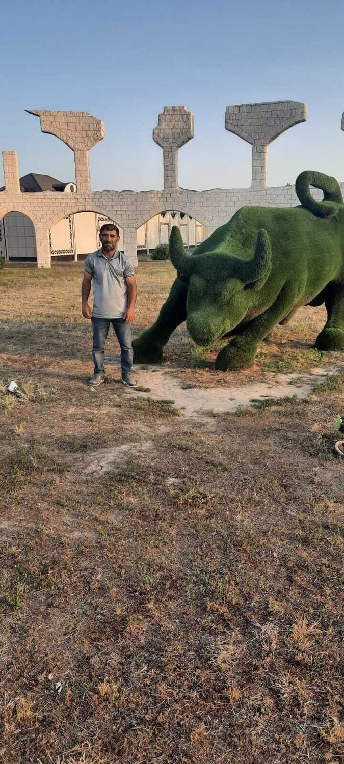 ���������� ���������, ���� ������� �����, 41 ���, ������������ ��� ������, ����� � ���������, c�������� ���������