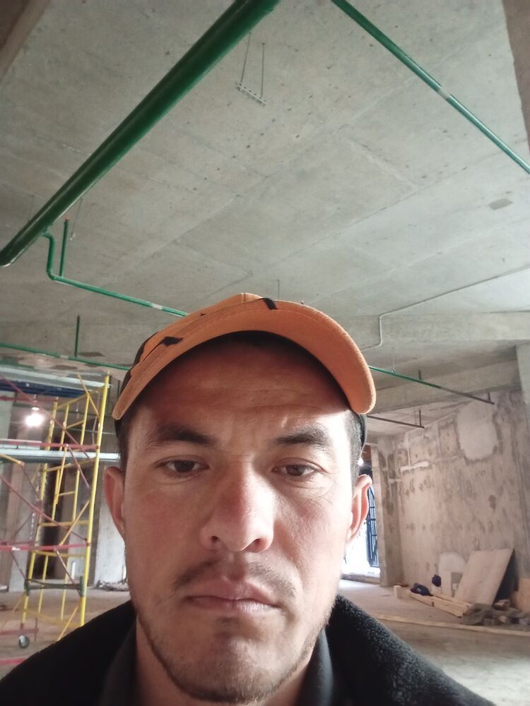 ���� 43486956 ������� �����, 32 ����, ���� ���������� � ������