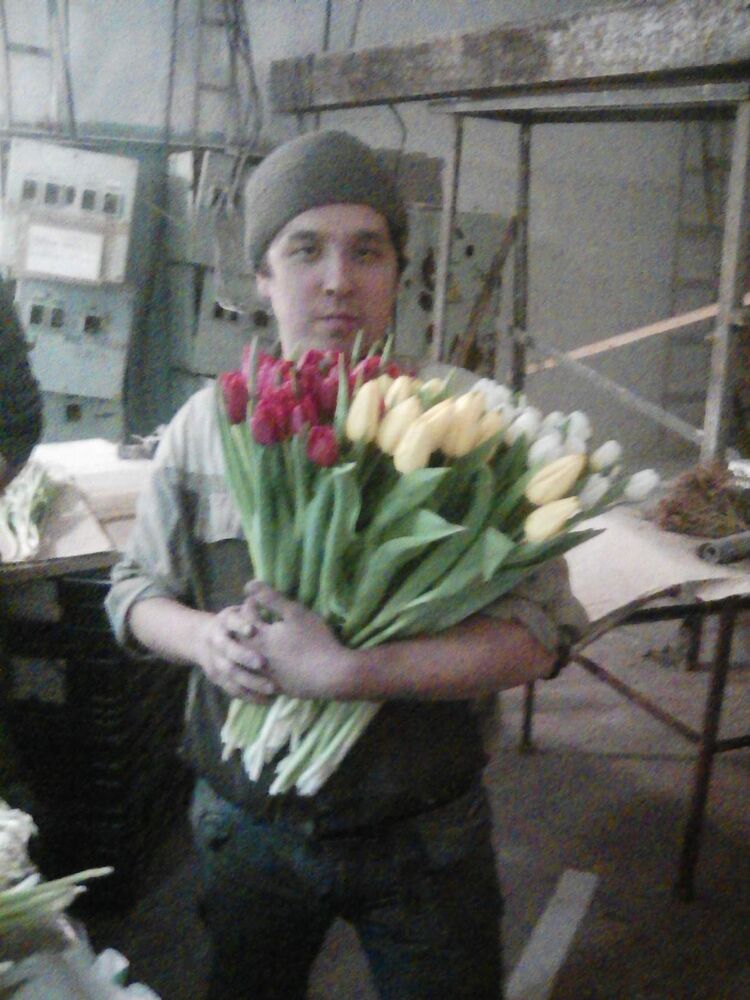 ���� 31592586 ������� �����, 34 ����, ���� ���������� � ������