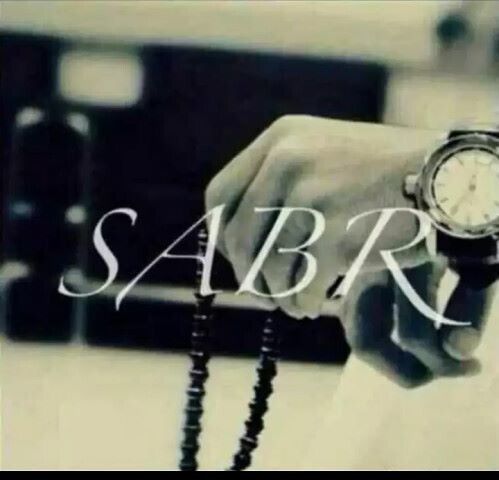 ���� 25877706 ������� No Name, 28 ���, ���� ���������� � ������