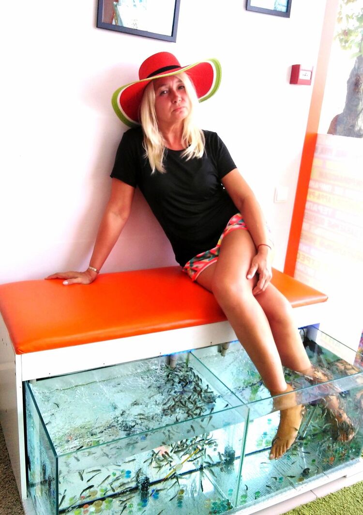  ,   , 53 ,  