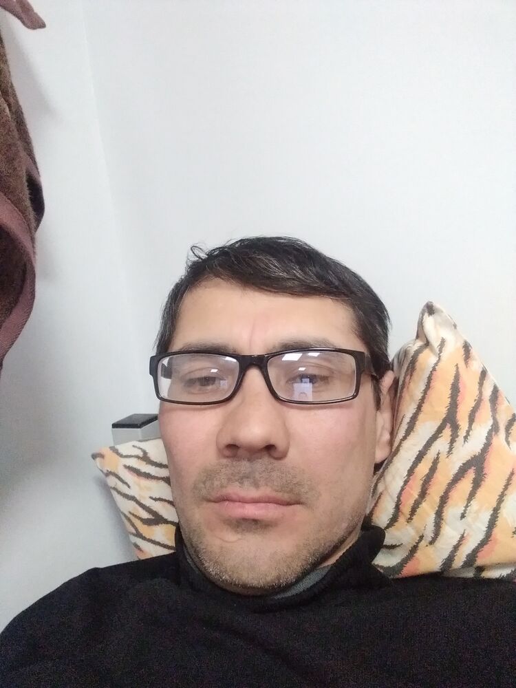  33690346  , 44 ,    