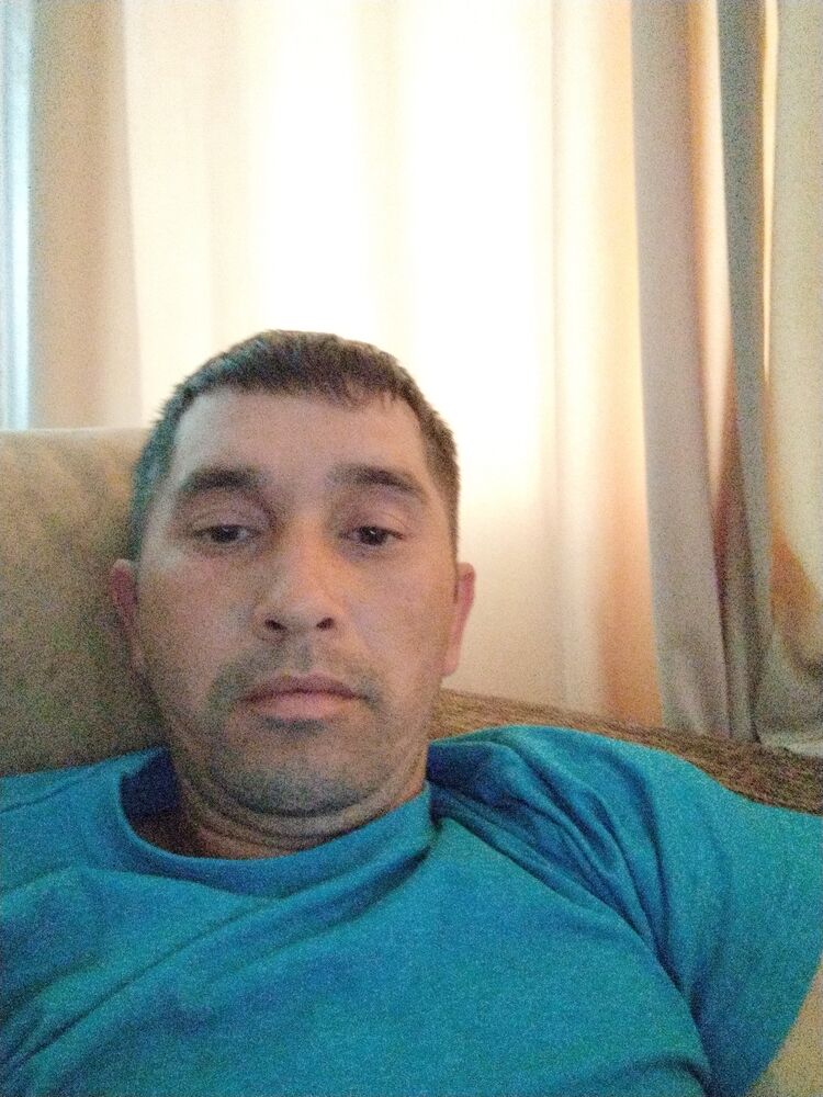  43779716  , 36 ,    