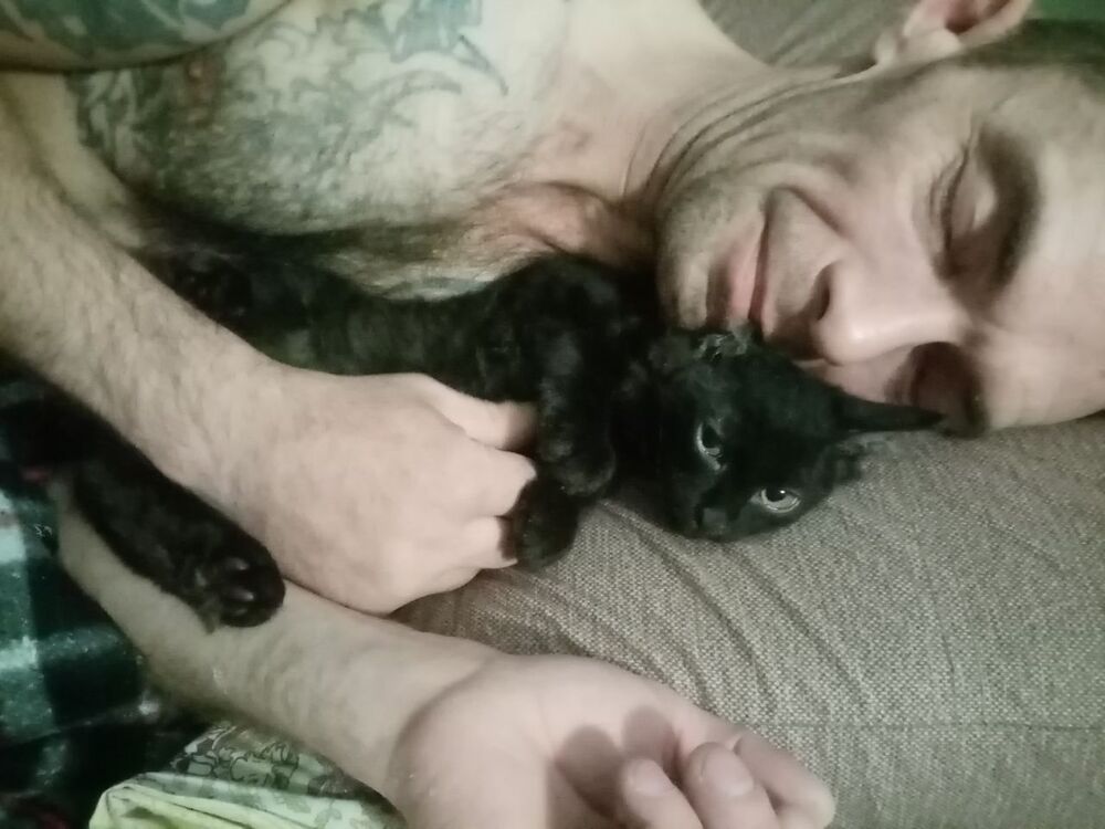  ,   Solomon, 48 ,   ,   